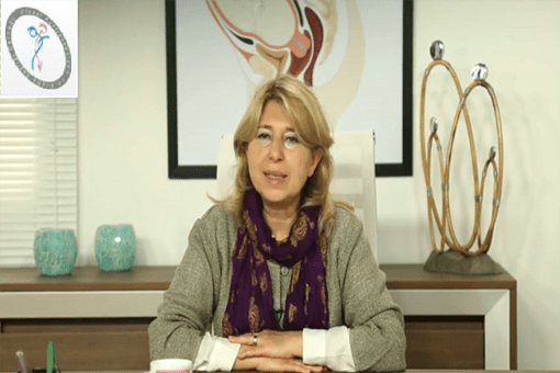 Prof.Dr. Berna DİLBAZ
